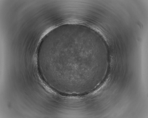 X0000111421114200907131156