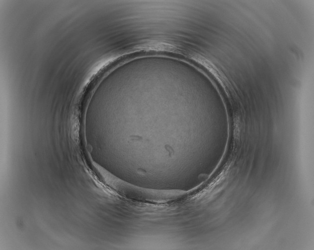 X0000111421115200907131156