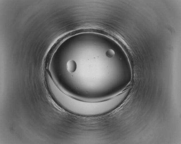 X0000111421116200907131156