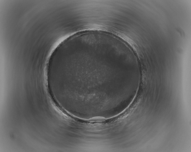 X0000111421120200907131156