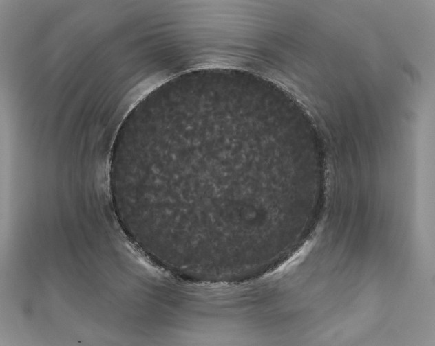 X0000111421121200907131156
