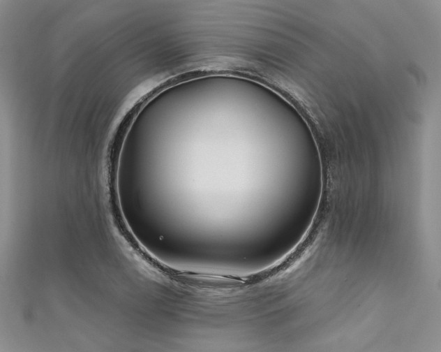 X0000111421122200907131156