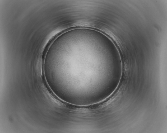 X0000111421123200907131156