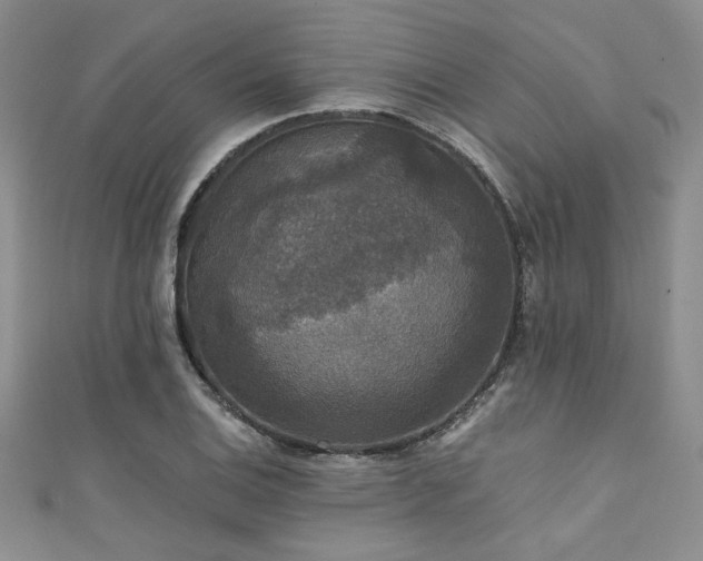 X0000111421124200907131156