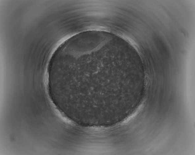 X0000111421125200907131156