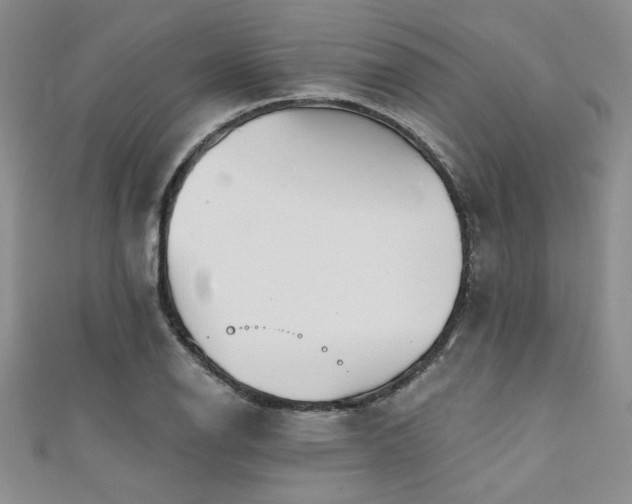 X0000111421126200907131156
