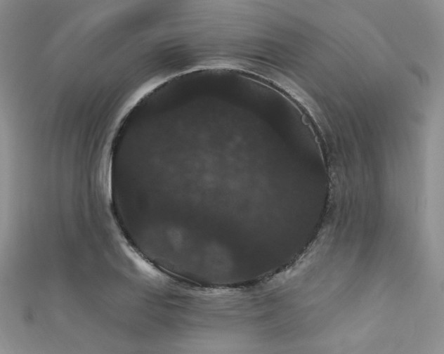 X0000111421127200907131156