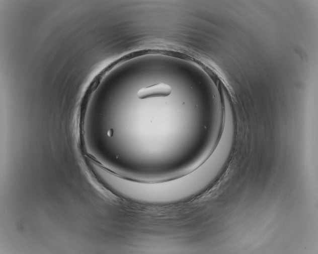 X0000111421128200907131156