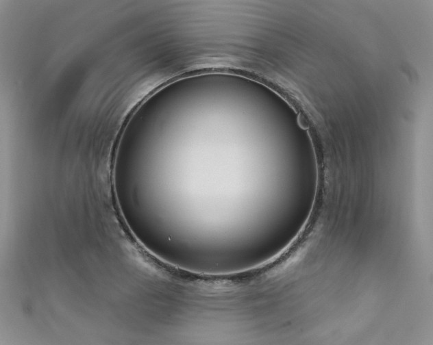 X0000111421129200907131156