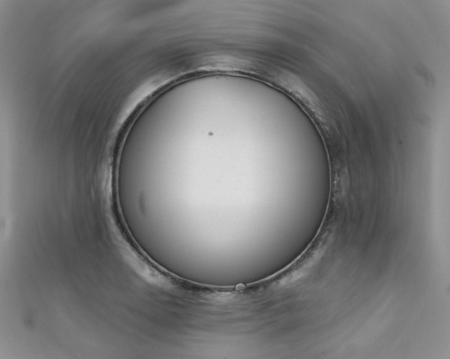 X0000111421130200907131156