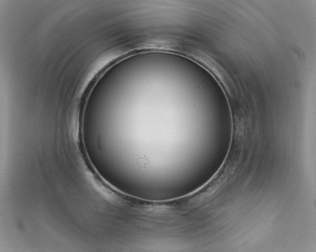 X0000111421131200907131156