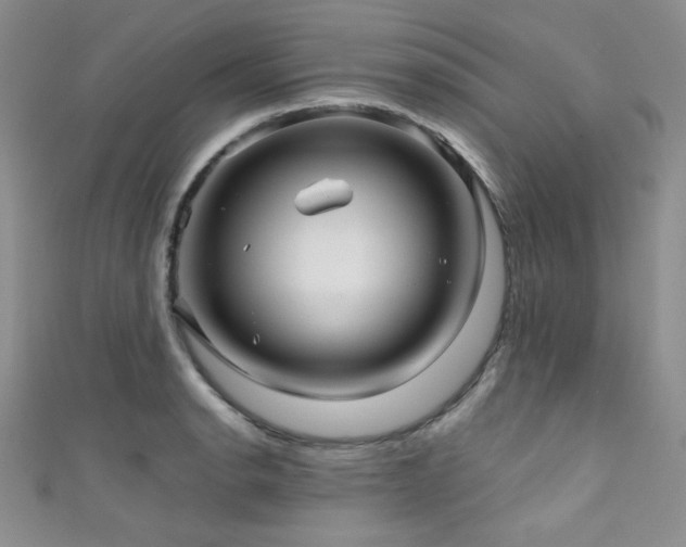 X0000111421134200907131157