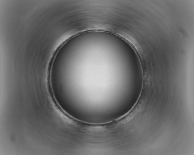 X0000111421135200907131157