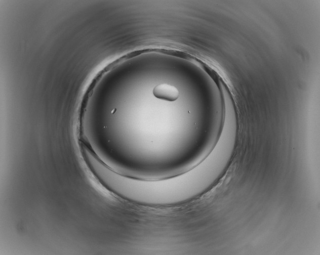 X0000111421136200907131157