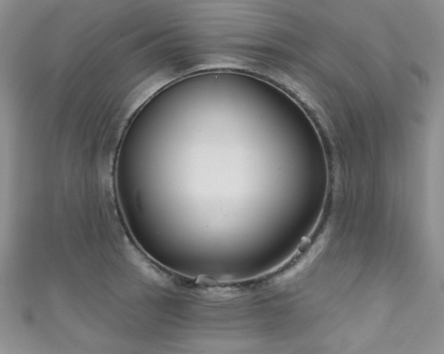 X0000111421137200907131157