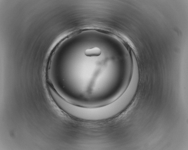 X0000111421138200907131157