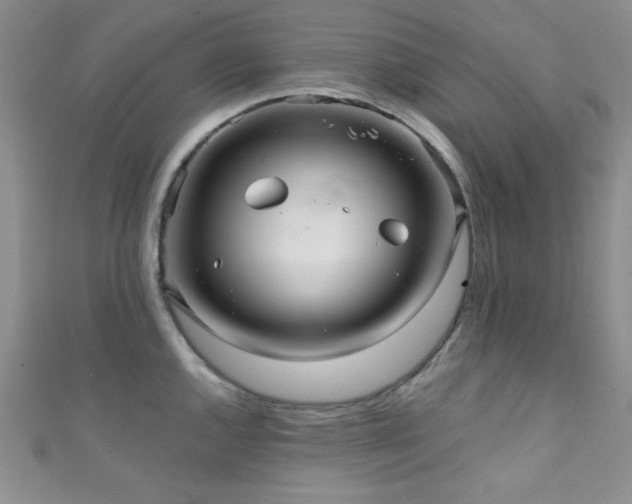 X0000111421144200907131157