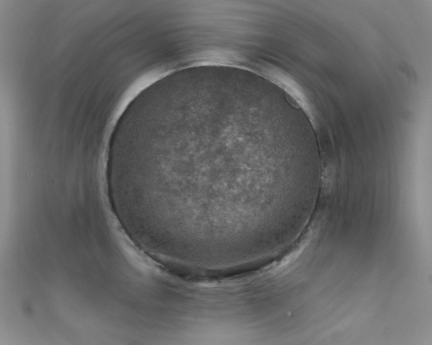 X0000111421146200907131157