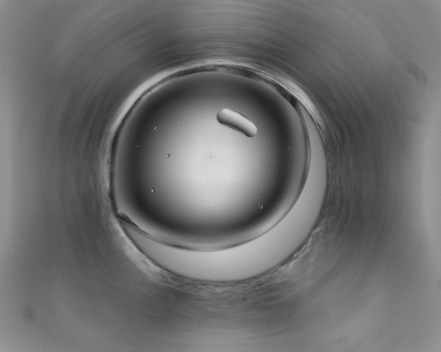 X0000111421148200907131157