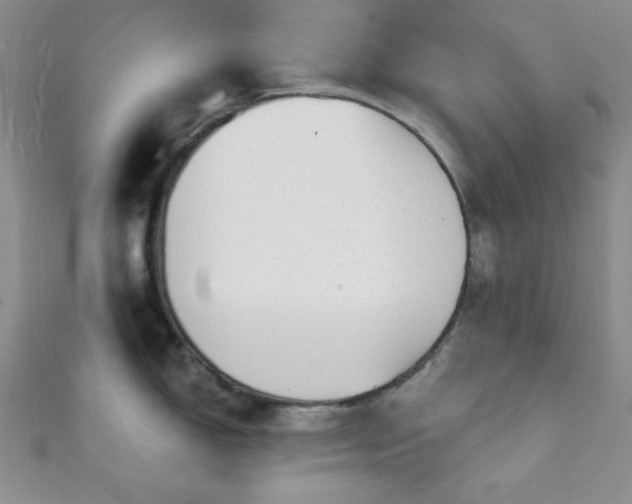 X0000111421150200907131157