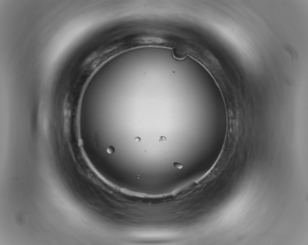 X0000111421151200907131157