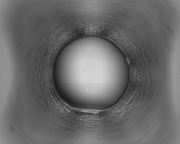 X0000111421153200907131156
