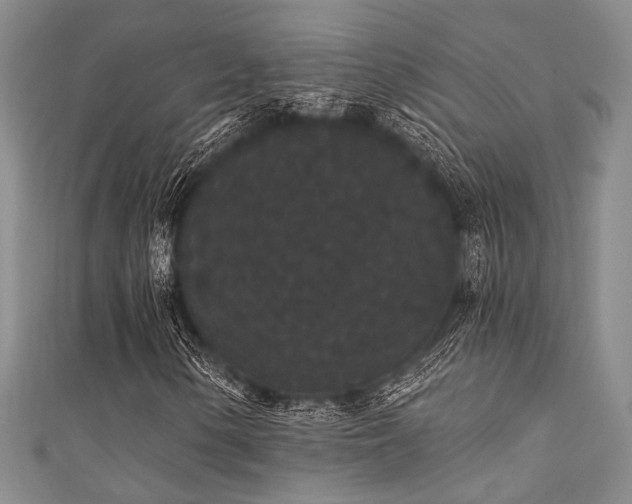 X0000111421154200907131156