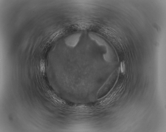 X0000111421155200907131156