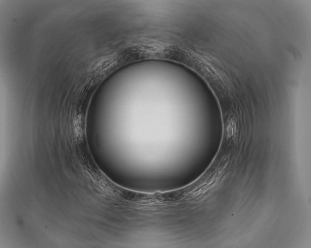 X0000111421156200907131156