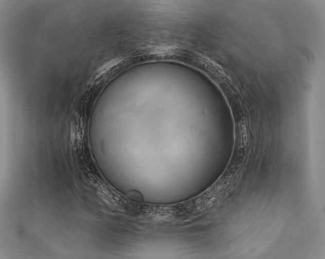 X0000111421158200907131156