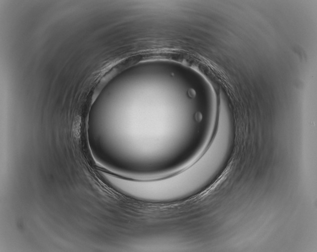 X0000111421161200907131156