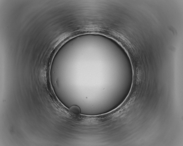 X0000111421162200907131156