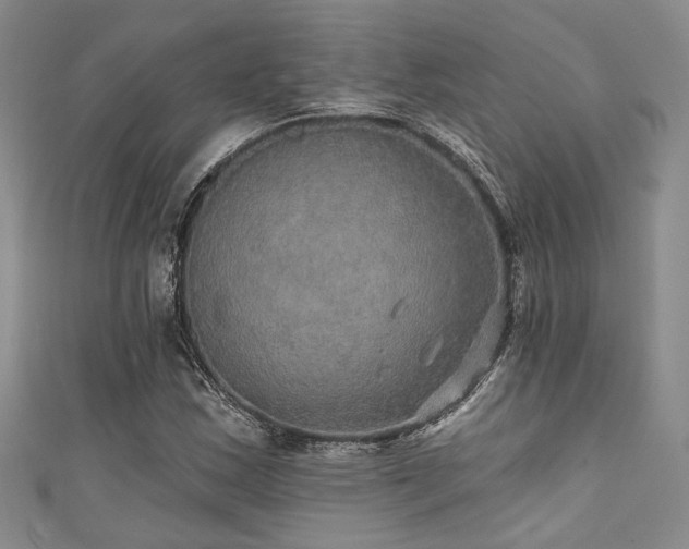 X0000111421163200907131156