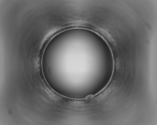 X0000111421164200907131156