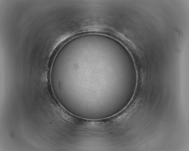 X0000111421166200907131156