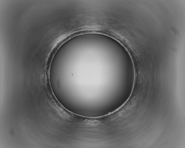 X0000111421168200907131156