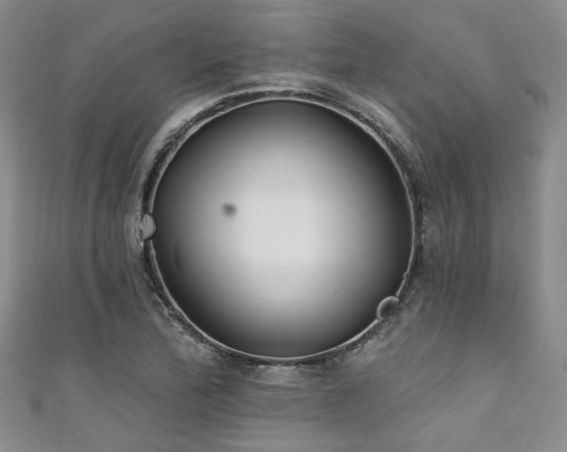X0000111421172200907131156