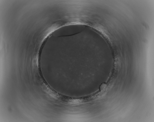 X0000111421173200907131156