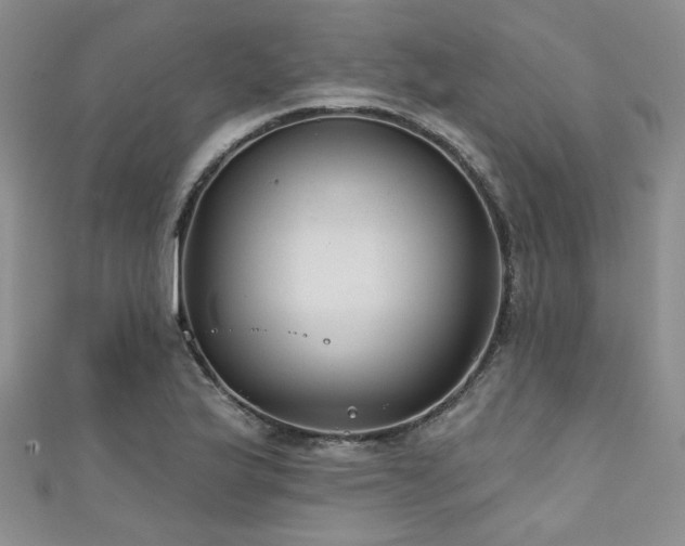 X0000111421175200907131156