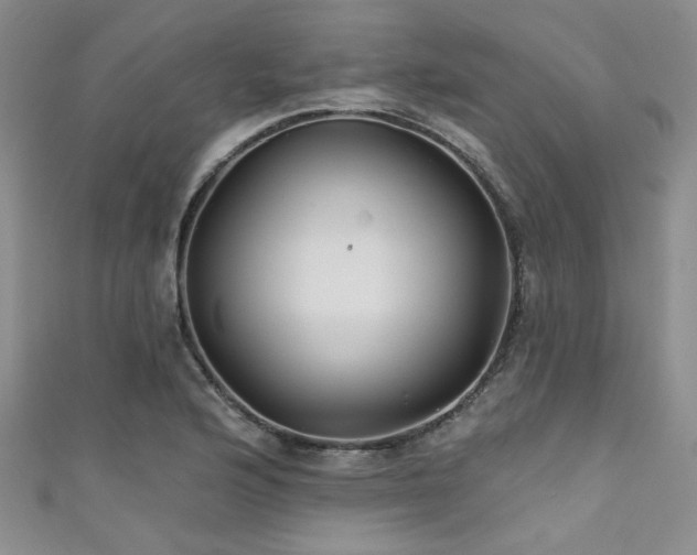 X0000111421176200907131156