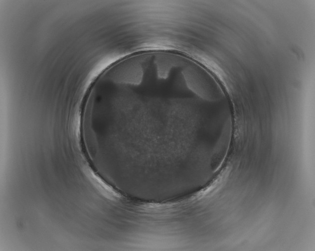 X0000111421179200907131156