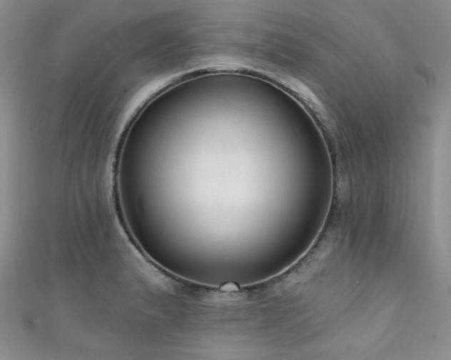 X0000111421183200907131156