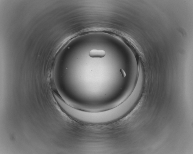 X0000111421185200907131156