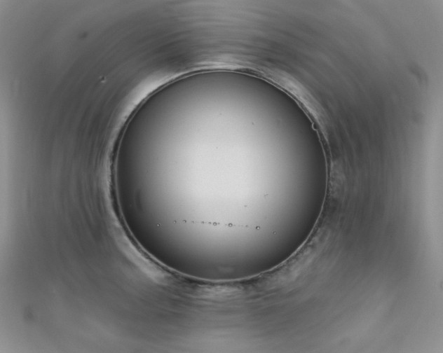 X0000111421187200907131156