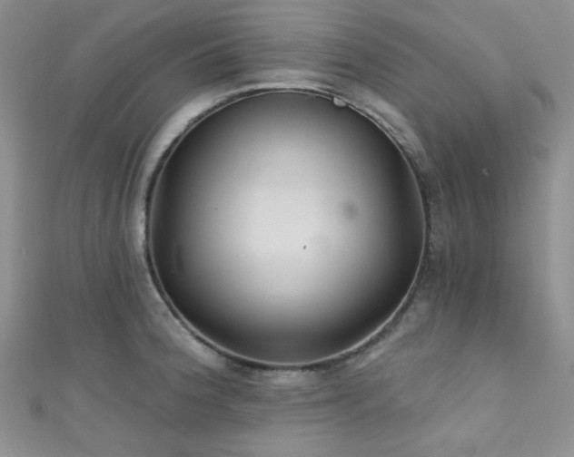 X0000111421188200907131156