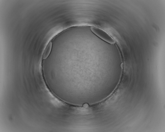 X0000111421189200907131156