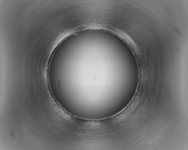 X0000111421190200907131156
