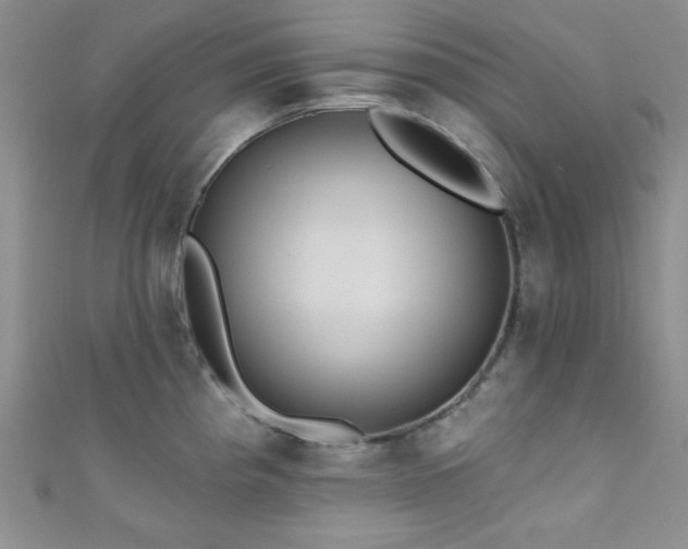 X0000111421193200907131156