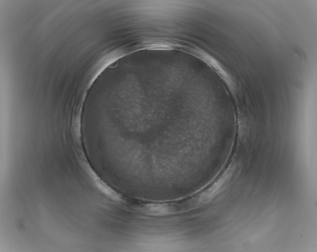 X0000111421194200907131156