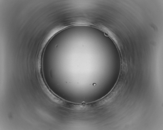 X0000111421195200907131156